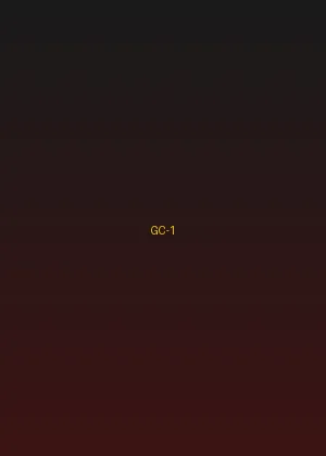 四虎影视 - 暗夜追踪海报